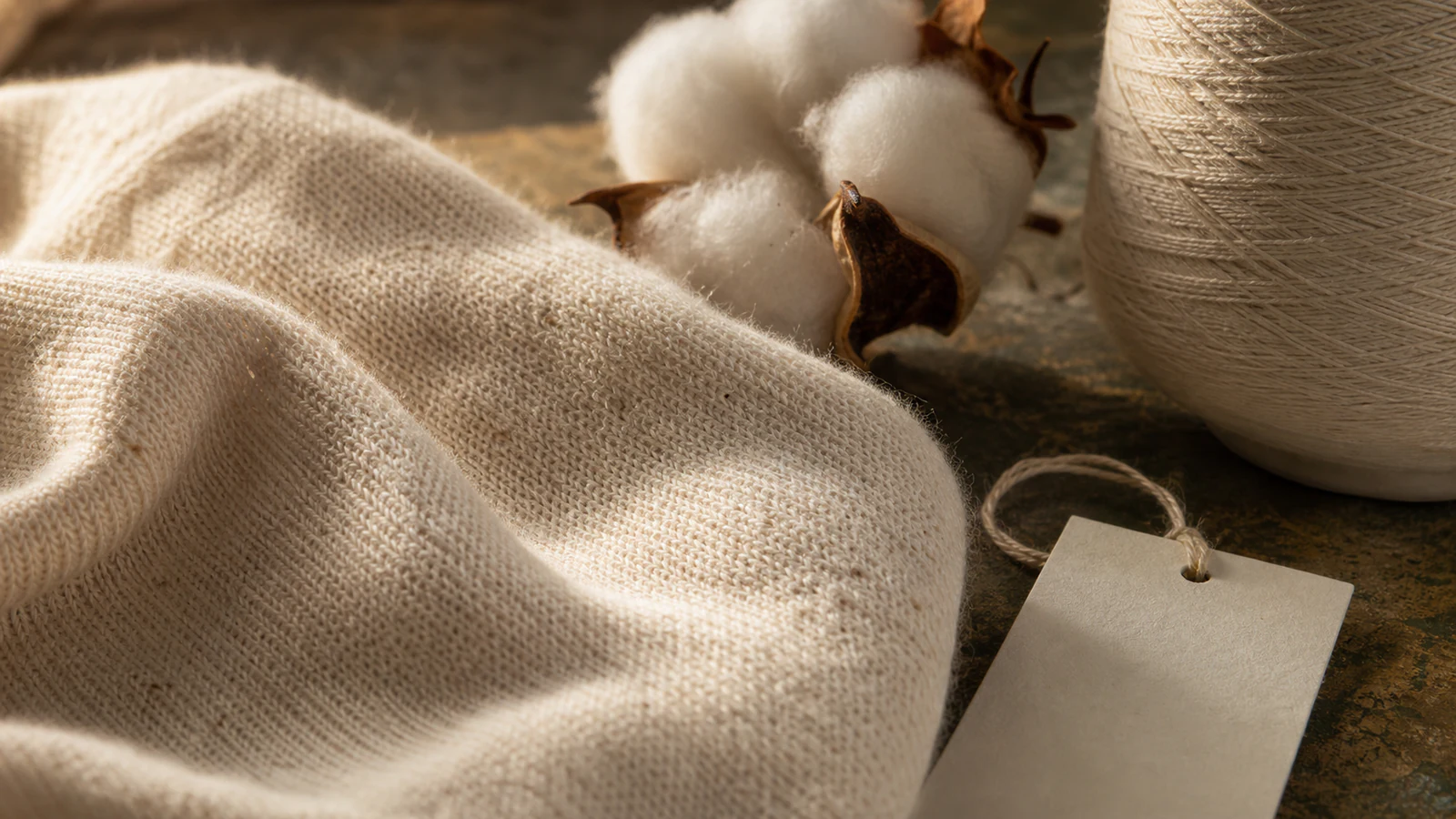 Close-up of unbleached cotton knit fabric yarn and cotton bolls